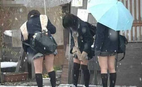 家长|为何零下20多度，日本大街还有很多“光腿美女”？不愧是爱美民族