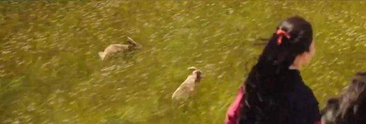 电影|《花木兰》评分跌至4.7，3亿投资却惨败背后，是审美的不及格