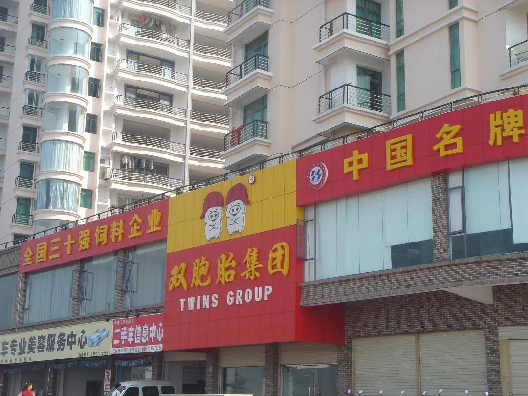 双胞胎集团数字与培训基地暨双胞胎集团总部大楼正式投入使用