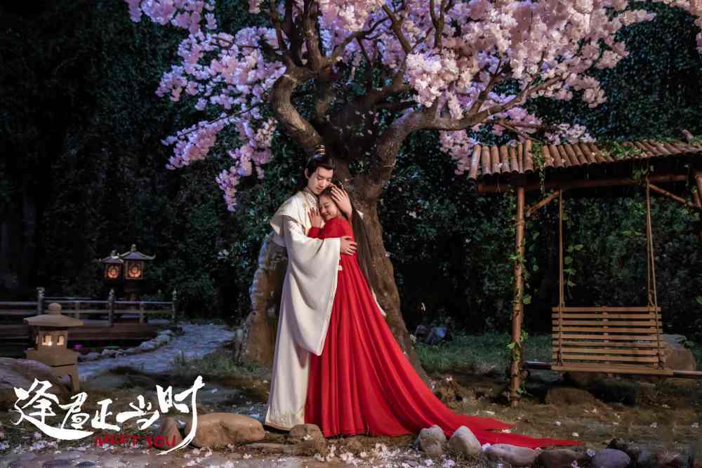 剧情|《逢君正当时》今日上线!女骗子傻少爷开启婚后拆家生活