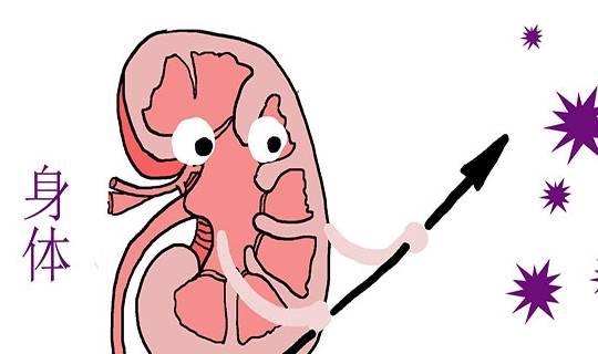 水液|查出尿毒症的人，不断增多，与什么有关？尿毒症早期，有何表现？