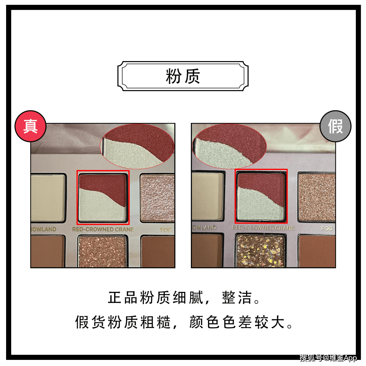 图案|完美日记丹顶鹤眼影盘真假鉴别