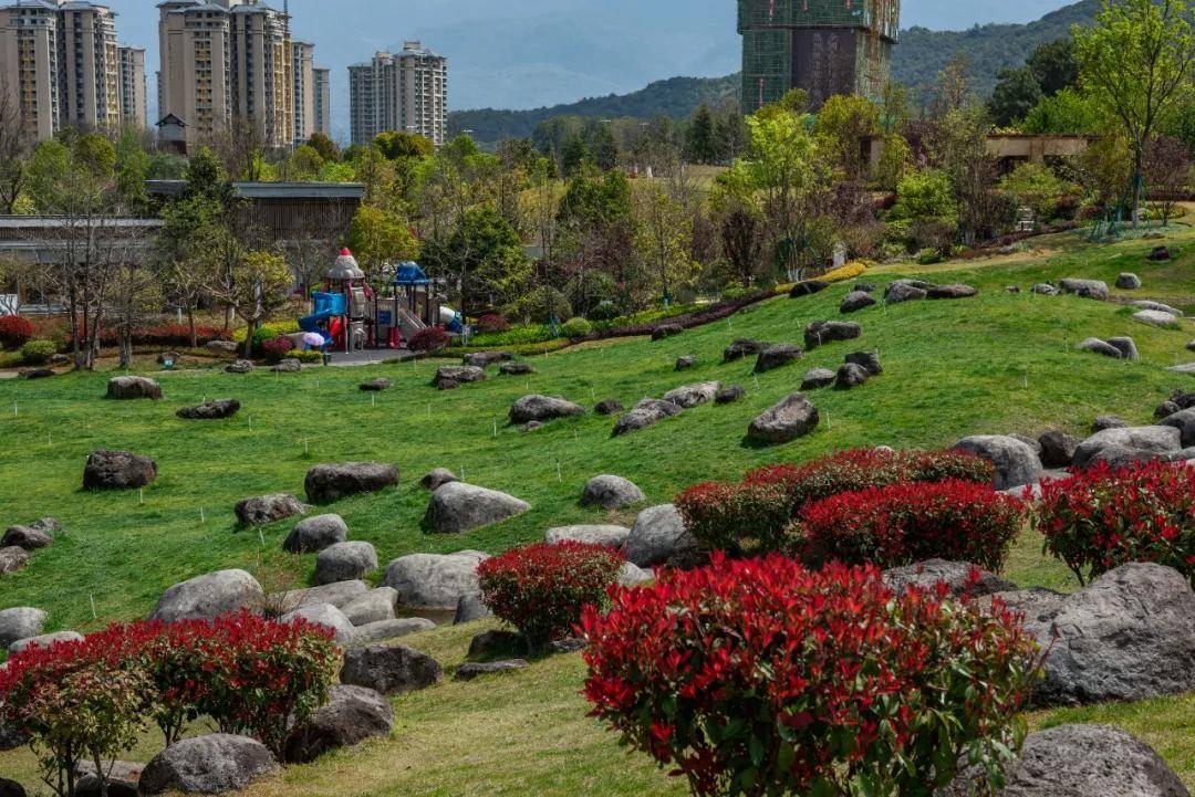 的花海|【国家AAAA级景区】腾冲原乡栖花岭景区