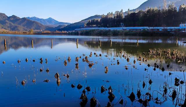 安徽省的花亭湖，位于太湖县，是一个小众的景点