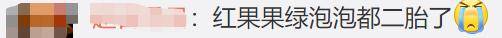 夫妻俩|央视主持红果果即将临盆！肚大如箩靠双手托，绿泡泡跪地脸贴孕肚