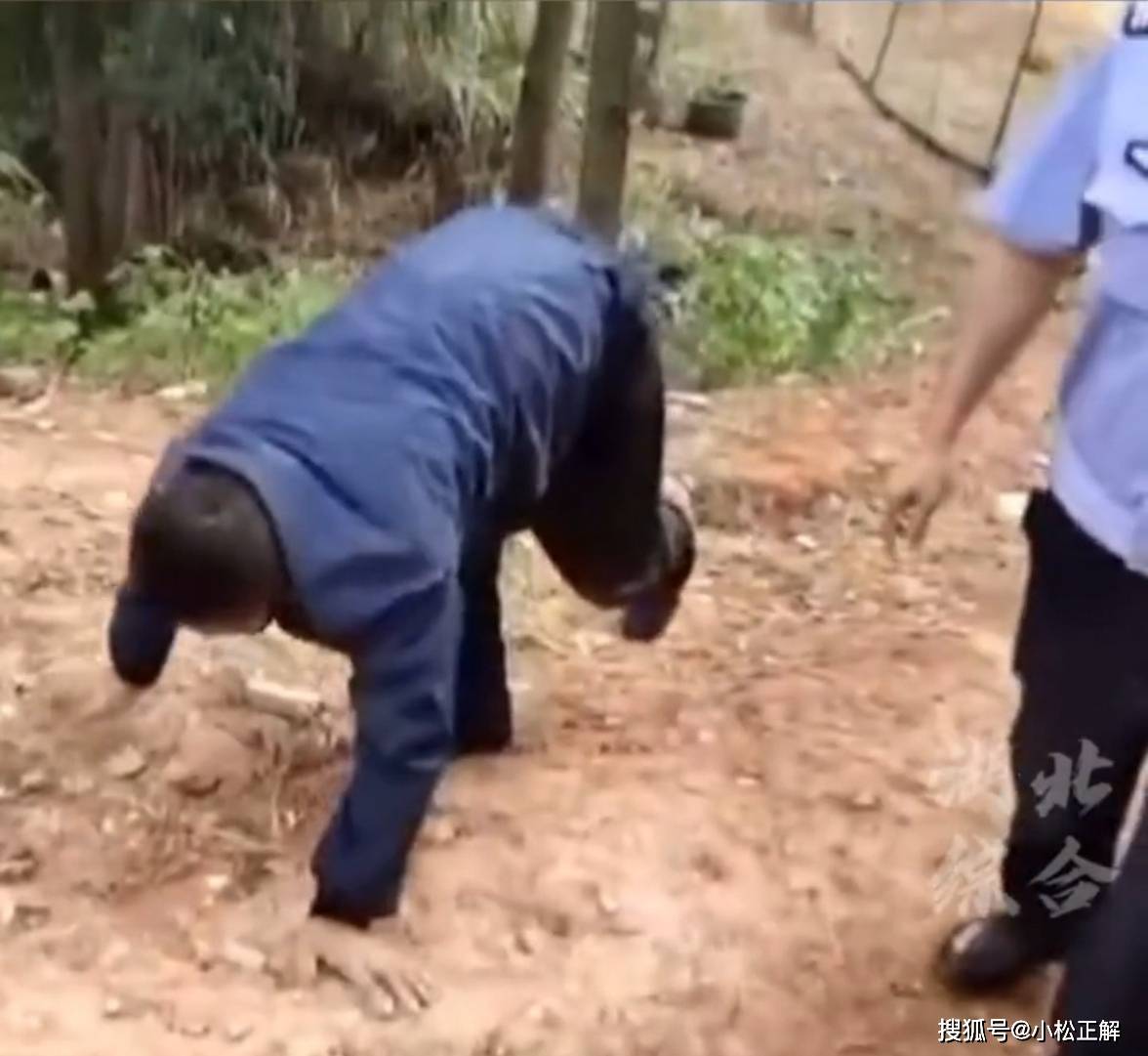 四肢着地爬行的种族 四肢着地爬行上楼梯
