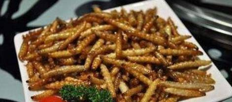 蚂蚁吃过的东西还能吃吗 8102e356a3ec4d2199173c4799532c11.jpeg