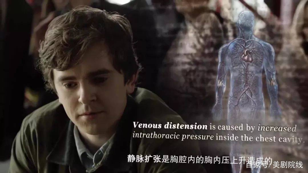 Shadows|这个月值得看的外语剧,也太过瘾了,看看你的网盘还够吗