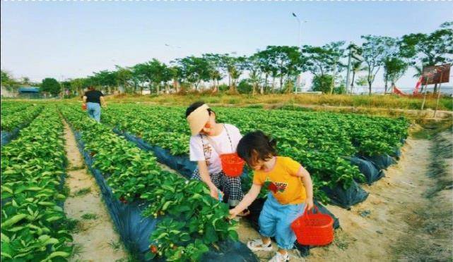 马尾|杜若溪携女儿春游,3岁肉肉多风格装扮漂亮养眼,近9斤婴儿长大了