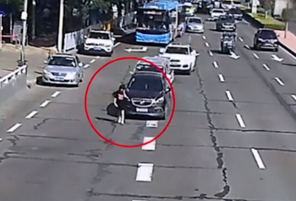 女子边打电话边走机动车道 后车避让女子致3车追尾 女子看一眼后淡定离开 高速公路 太阳信息网