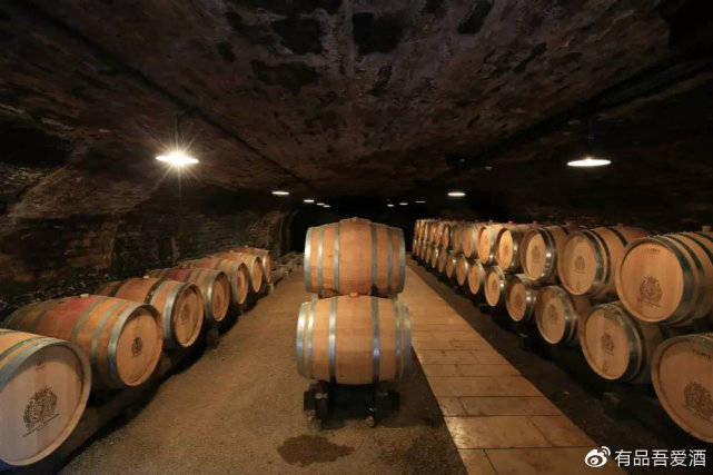 市场|打开葡萄酒世界|带你走近有品吾爱酒创始人的故事
