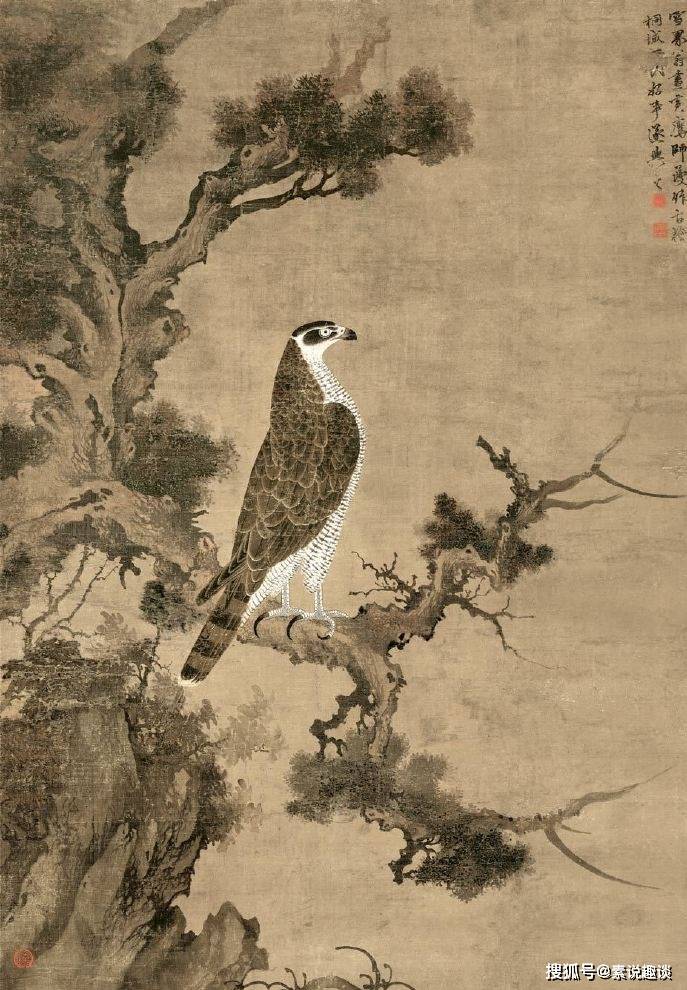 650年前的 柏鹰图 用笔工细有特色 是古代国画的代表作品 绘画