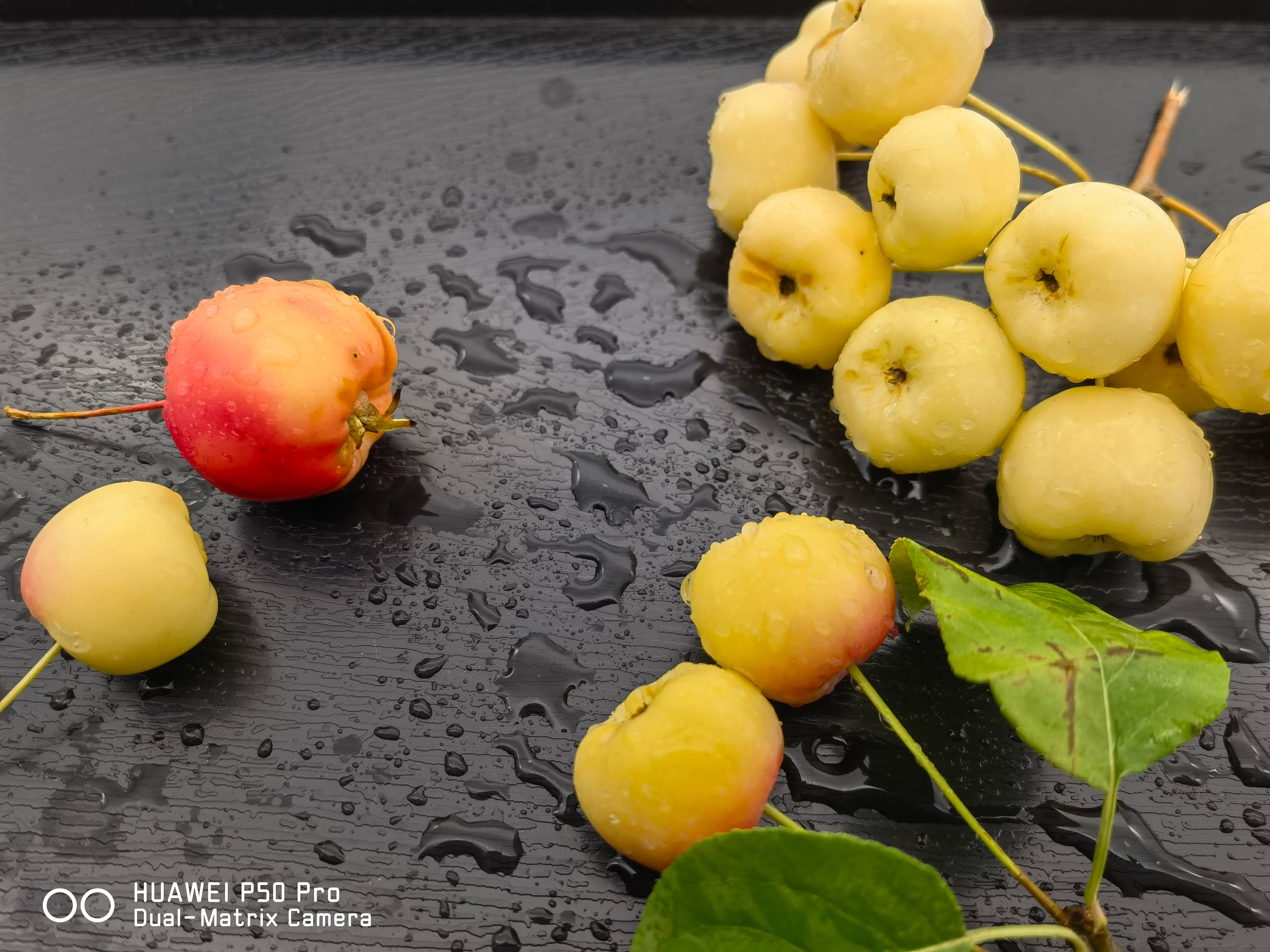 影像|拍了2000张照片，来看今年的影像旗舰华为P50 Pro的拍照能力有多强?