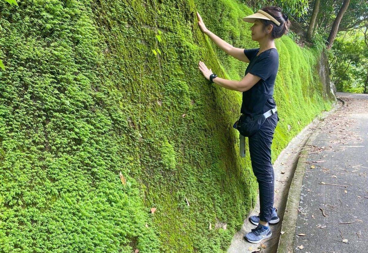 服装|钟楚红晒出旅游照片，保养的也太好了吧，穿的和普通人没什么不同