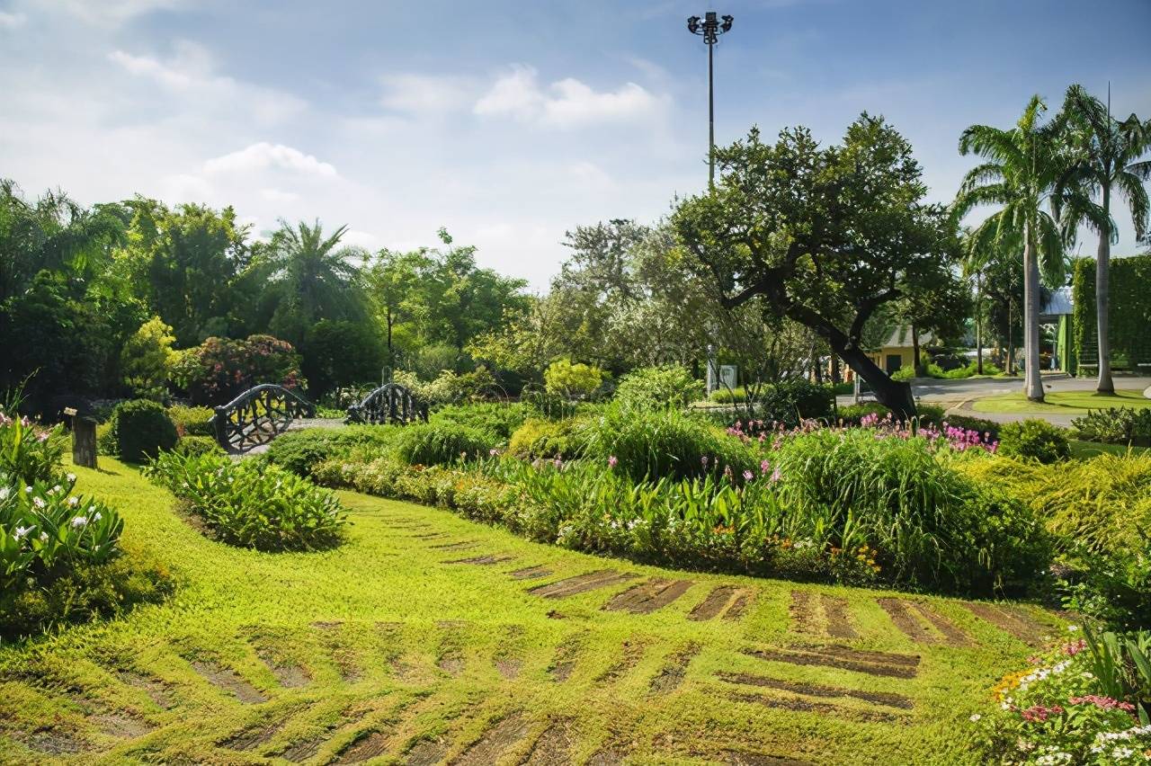 园林绿化中的八大误区