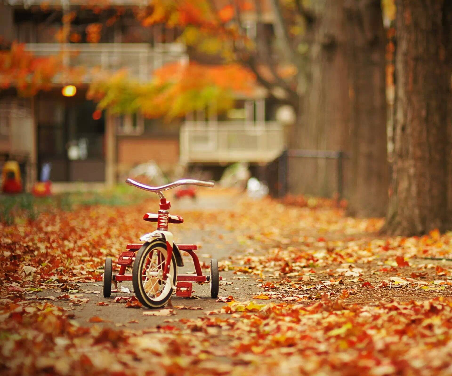 蔬菜|秋季给孩子吃什么好？一周营养食谱，天天不重样！建议收藏