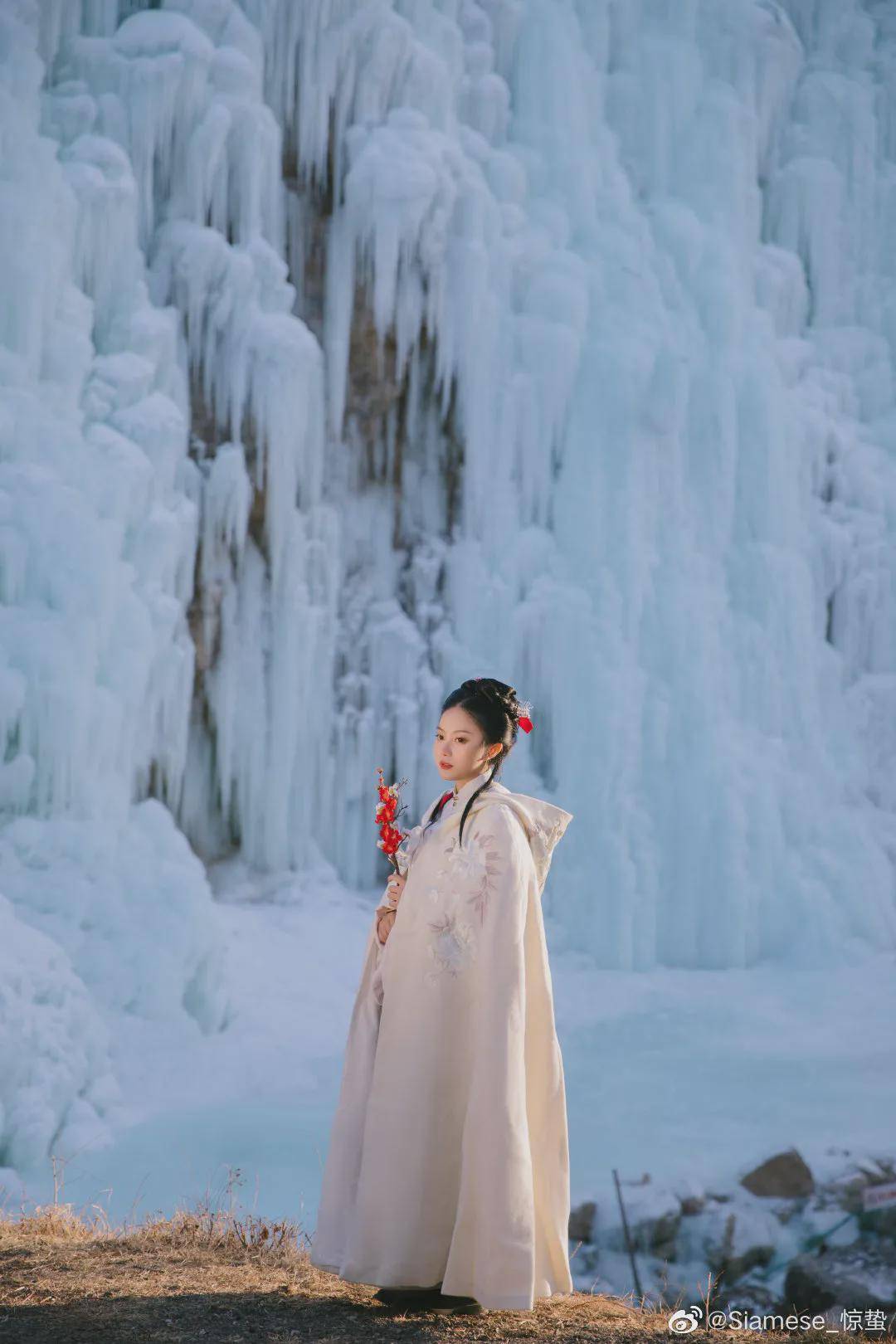 摄影|汉服小仙女:梅落雪寒