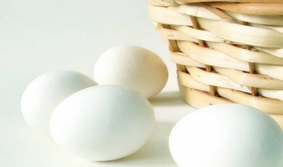 卵白|肾结石患者,是否可以吃鸡蛋?你的理解真的对吗?看专家的理解