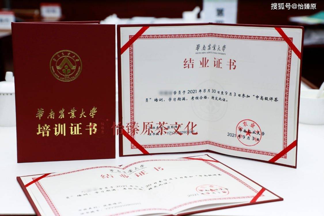 注意评茶员新手的四个易错点国家高级评茶师经验分享
