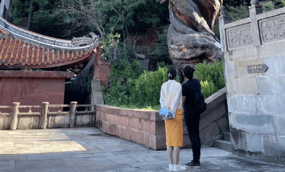 苗苗|苗苗夫妇出游，穿背带裙身材冯女郎里少见，郑恺发际线后移显油腻
