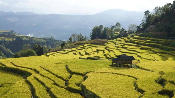 啥叫自然村 9fc8d9a286b540f286b329b0c5b52919.jpeg