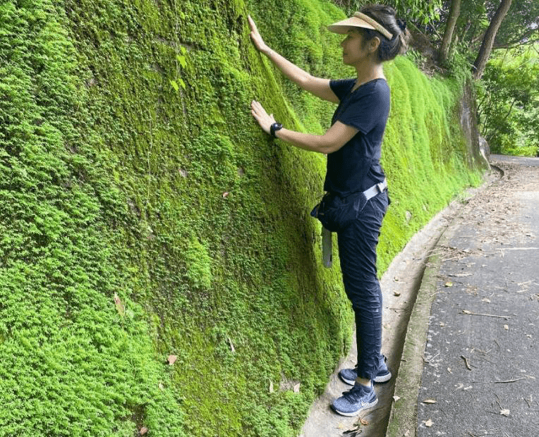 感觉|钟楚红罕见晒照，素颜干黄有白发，真实老去是不漂亮但气质优雅！