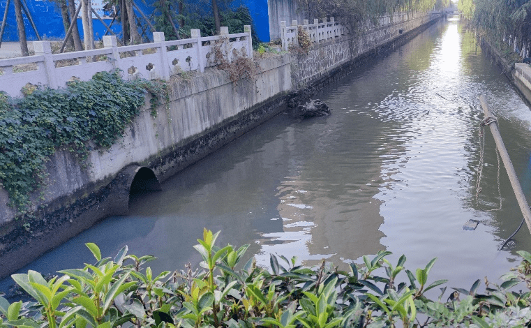【微靖江】九圩港将"颜值提升",清爽天际线,沿河景观带改造中