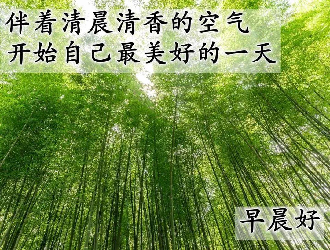 8张清新漂亮的秋天早上好带祝福语 免打字聊天的早安问候祝福语图片带