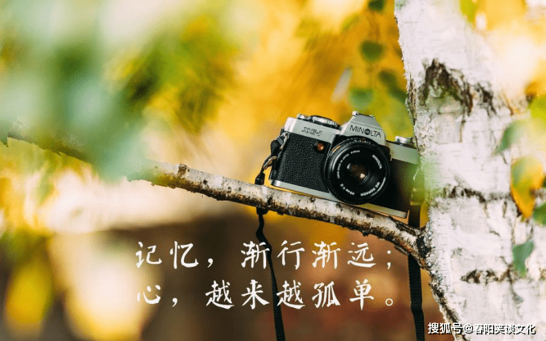 583c75399688454e9e06d5f03bc55ab3.png