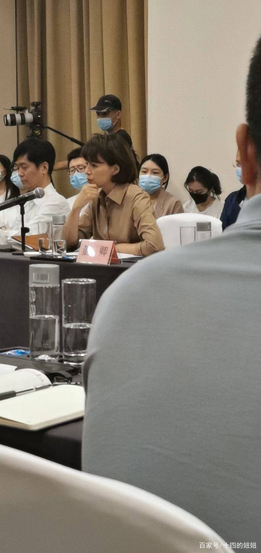 形象|董卿现身开会，坐头排头也不梳头，罕见弯腰驼背乱蓬蓬头发抢镜