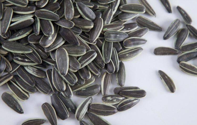 甘蔗|此类不起眼的零食，可能影响好细胞，不妨提前了解一下