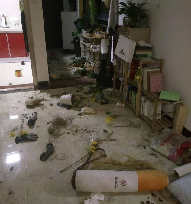 哈士奇拆家男子忍無可忍給它幫了鐵餅，網友看後笑哭：這方法好！ 萌趣萌寵 第1张