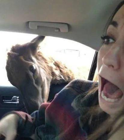 多年以后完整版的 0d1f20bd722b4c319229b9c8cb9d958a.jpeg