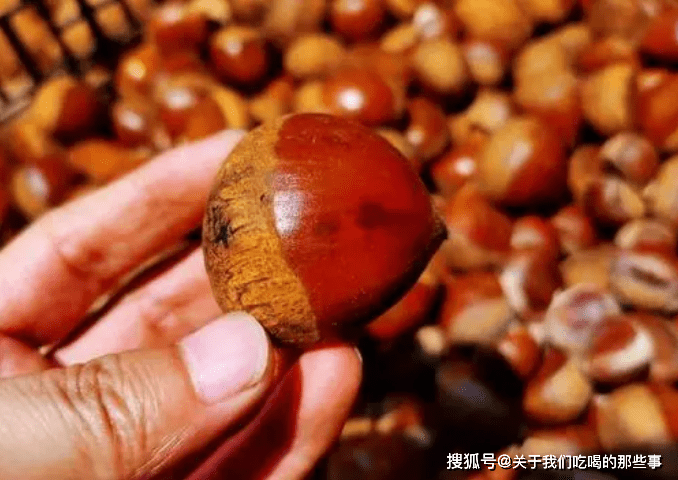 新板栗上市了 趁便宜多买一些 教你保存方法 1年不坏 特新鲜 冷冻