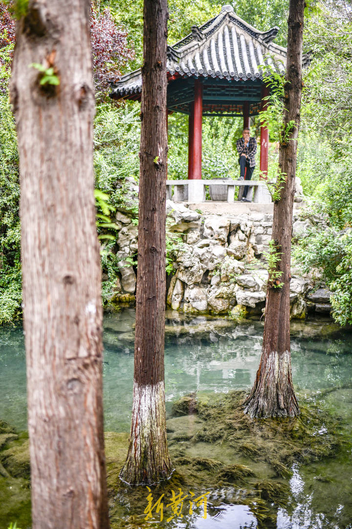 泉水|百泉汇流的生产渠 串起新城老街成景点