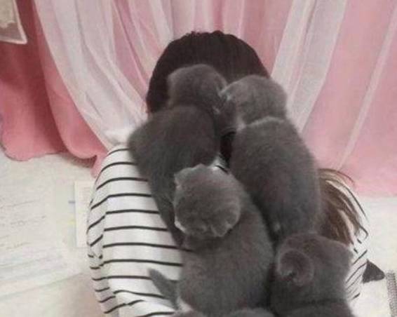 那一种|女孩正在做作业，却感到背上被压得无法动弹，扭头一看直言不敢动