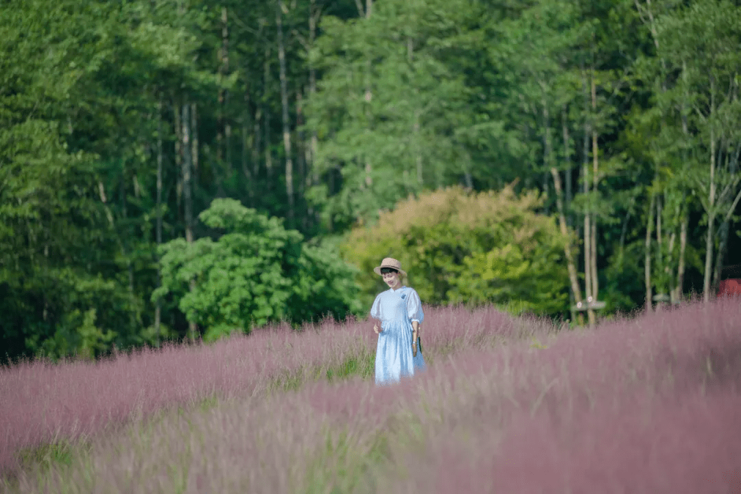 桂花|落日跌进昭昭星野，人间忽晚，山河已秋