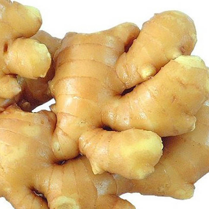 大姜属于块茎植物,因此块茎的保护就显得很重要,很多