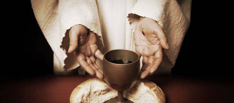 酿酒|水果千千万,为什么只有葡萄酿酒能成气候!