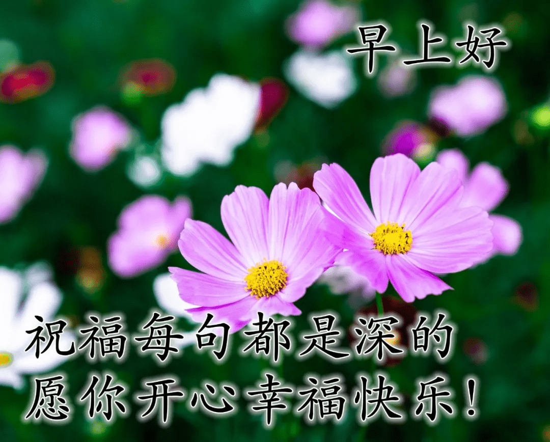 原创早安心语唯美配图欢乐相伴的早上好美图天天好心情的早安语录