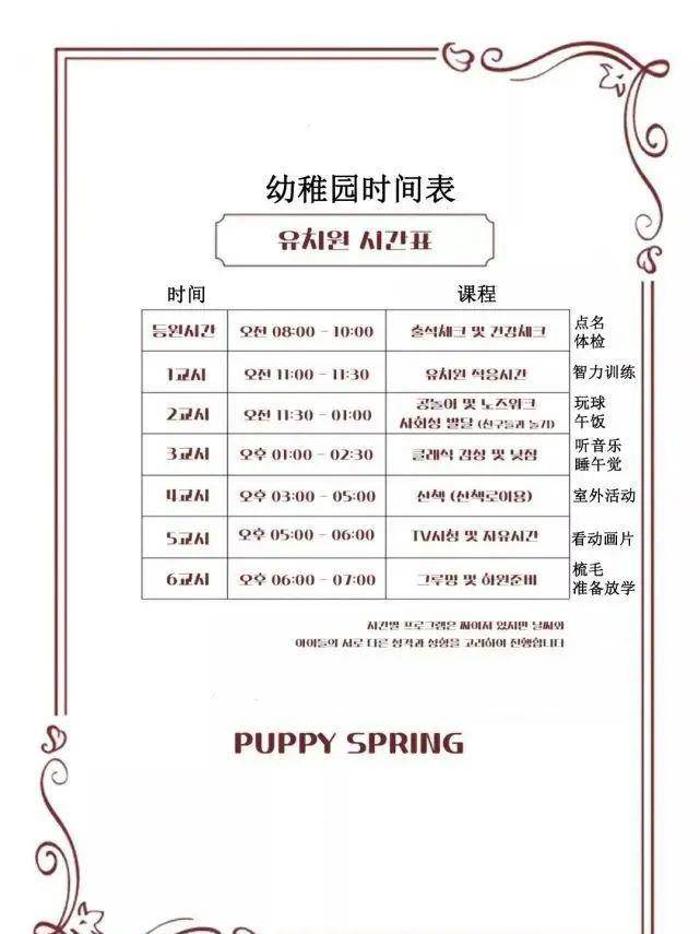 技能|上班族没时间照顾狗狗？狗狗也能上幼儿园啦