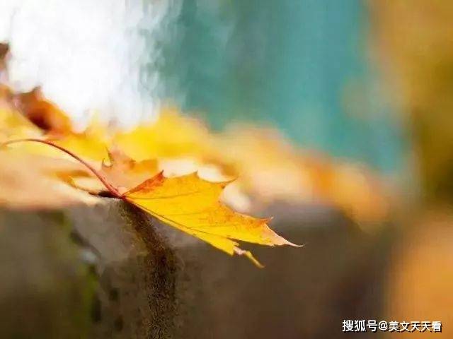 秋 读你千遍不厌倦 色彩