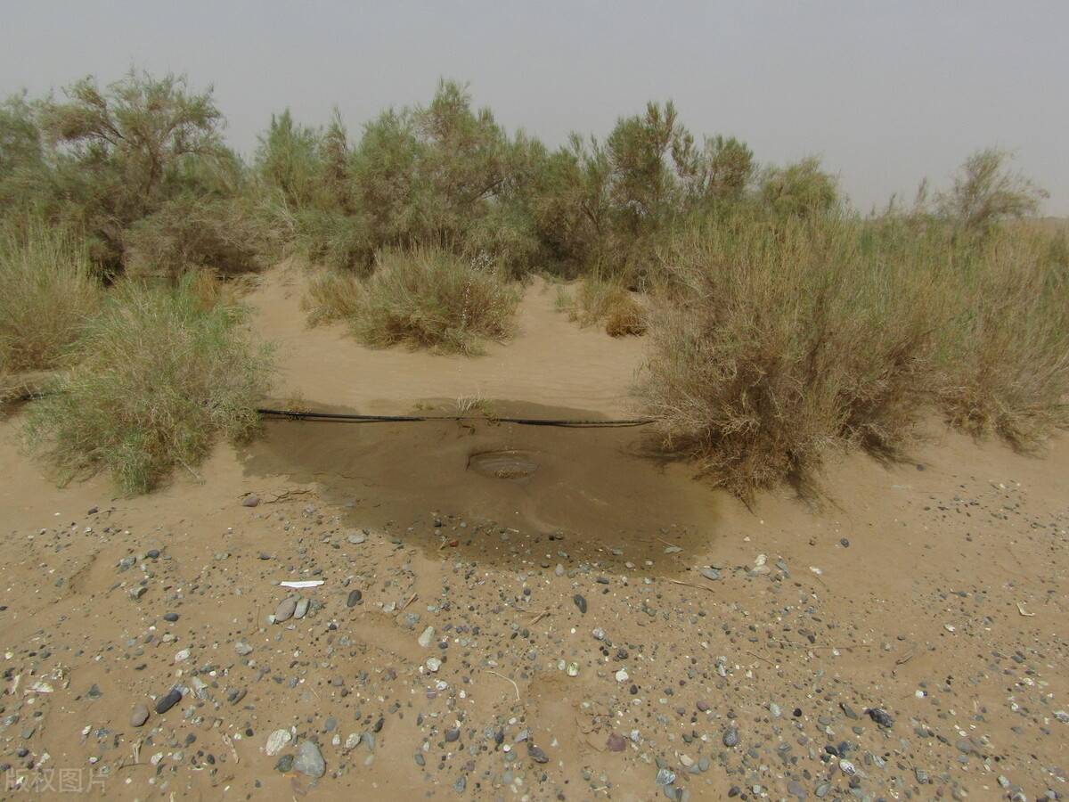 新疆沙漠公路，为不被掩埋108个水井房每天浇水，每年花费上千万
