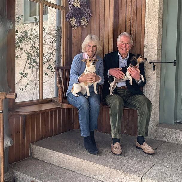 伊丽莎白|卡米拉爱养杰克罗素梗犬，女王7岁时收到父亲送的柯基，独宠80年！