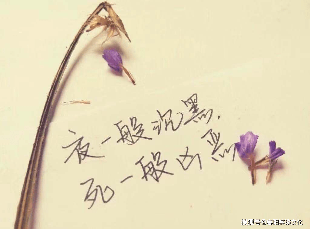 ecae36ff73fd43d6b46c36085fa5e00f.png
