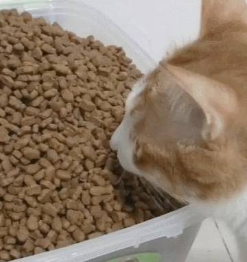 ff1f5584576044209a9dc0fa33d4a6a9.jpeg