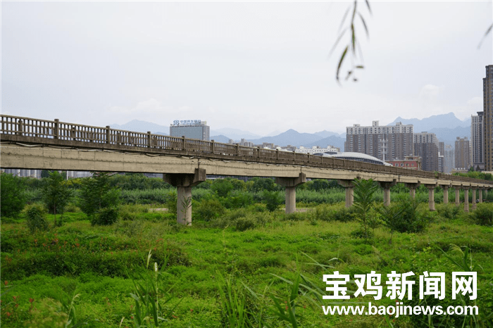 一座跨河桥为何不让行人通行?宝鸡市住建局答复来了!