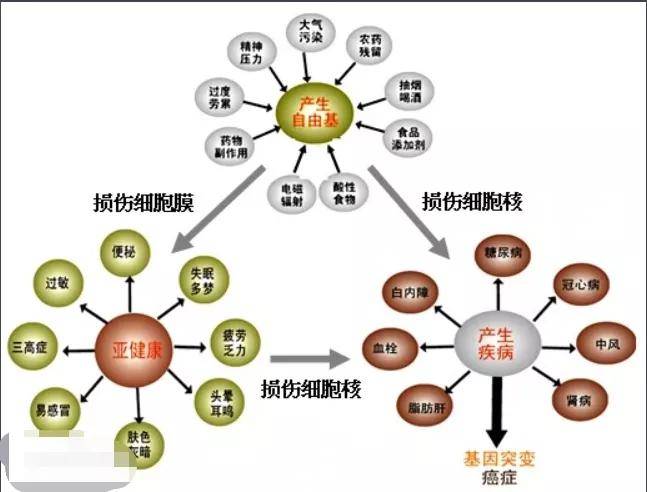 人体|“披荆斩油”的是哥哥，有油、有味的只能是大叔大爷.....