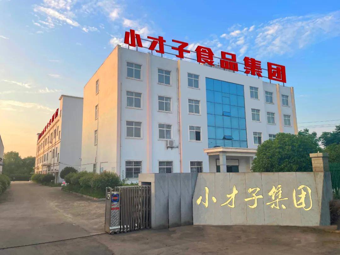 小才子国际化中央厨房强势进驻樟树市丨用国际品质服务樟树学子