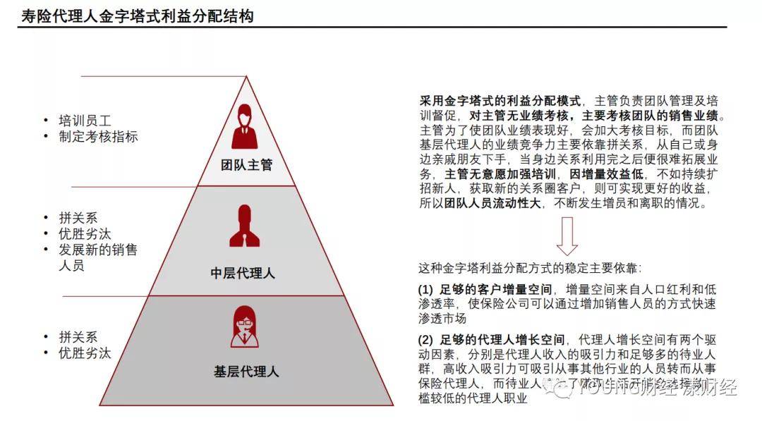 中国人口金字塔2021_人口金字塔 中国人口收入金字塔(3)